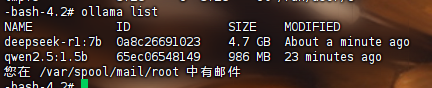image-20250312165926752